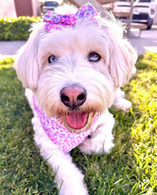 Load image into Gallery viewer, Live Live In Full Bloom