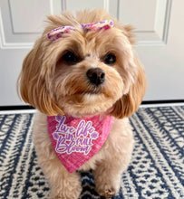 Load image into Gallery viewer, Live Live In Full Bloom