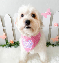 Load image into Gallery viewer, Live Live In Full Bloom