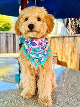 Load image into Gallery viewer, Beautiful Butterflies (With Trim)