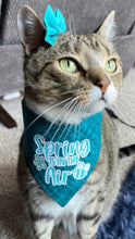 Load image into Gallery viewer, Spring Is In The Air