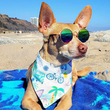 Load image into Gallery viewer, California Dreamin'