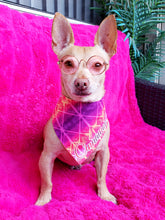 Load image into Gallery viewer, Summer Sunset Vibes