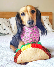 Load image into Gallery viewer, Feed Me Tacos