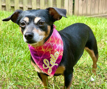 Load image into Gallery viewer, Summer Sunset Vibes