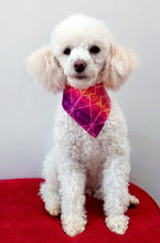 Load image into Gallery viewer, Summer Sunset Vibes