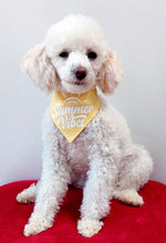 Load image into Gallery viewer, Summer Sunset Vibes