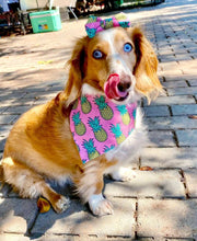 Load image into Gallery viewer, Pink Pineapple