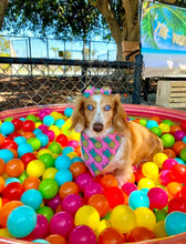 Load image into Gallery viewer, Pink Pineapple