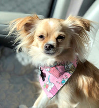 Load image into Gallery viewer, Shake It Off