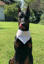 Load image into Gallery viewer, Happy Birthday! (Aqua)