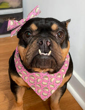 Load image into Gallery viewer, Feed Me Tacos