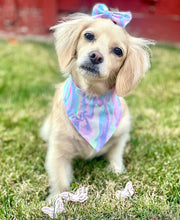 Load image into Gallery viewer, Pink Aurora