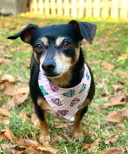 Load image into Gallery viewer, Diamonds Are Forever