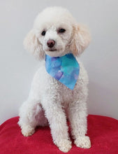 Load image into Gallery viewer, Diamonds Are Forever