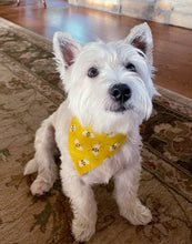 Load image into Gallery viewer, Feelin' Buzzed