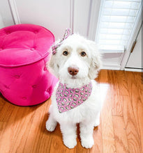 Load image into Gallery viewer, Feed Me Tacos