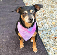 Load image into Gallery viewer, Diamonds Are Forever