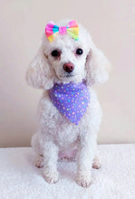 Load image into Gallery viewer, Kaleidescope