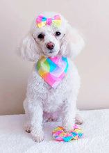 Load image into Gallery viewer, Kaleidescope