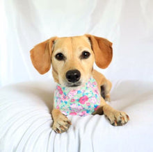 Load image into Gallery viewer, Pink Hydrangeas