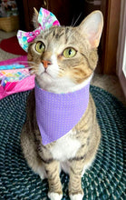 Load image into Gallery viewer, Pink Hydrangeas