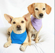 Load image into Gallery viewer, Blue Hydrangeas