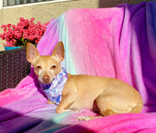 Load image into Gallery viewer, Ombre Fleece Blanket