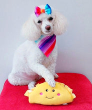 Load image into Gallery viewer, Taco Time