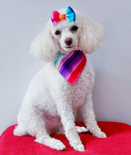 Load image into Gallery viewer, Taco Time