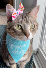 Load image into Gallery viewer, Candyland