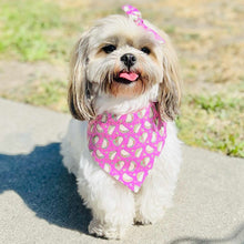 Load image into Gallery viewer, Feed Me Tacos