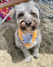 Load image into Gallery viewer, Vitamin Sea