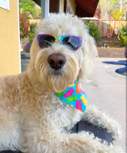 Load image into Gallery viewer, Yummy Gummy Bears