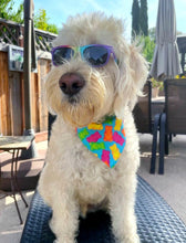 Load image into Gallery viewer, Yummy Gummy Bears