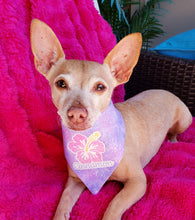 Load image into Gallery viewer, Hibiscus Paradise