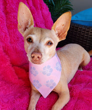 Load image into Gallery viewer, Hibiscus Paradise