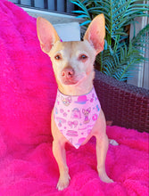 Load image into Gallery viewer, Sunset Paws