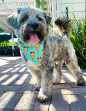 Load image into Gallery viewer, Fun In The Sun