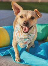 Load image into Gallery viewer, Beach Bum (Blue)