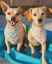 Load image into Gallery viewer, Beach Bum (Pink)