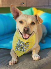 Load image into Gallery viewer, Fun In The Sun