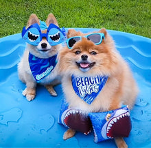 Load image into Gallery viewer, Beach Vibes