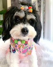 Load image into Gallery viewer, Pink Picnic
