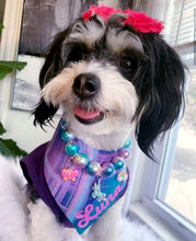 Load image into Gallery viewer, Sunset Paws