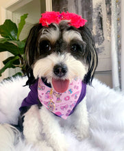 Load image into Gallery viewer, Sunset Paws