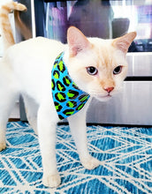 Load image into Gallery viewer, Cute AF (Blue)