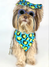 Load image into Gallery viewer, Cute AF (Blue)