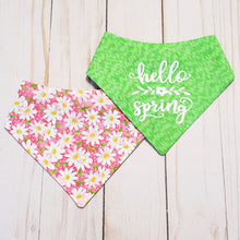 Load image into Gallery viewer, Hello Spring