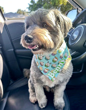 Load image into Gallery viewer, Hip Hop